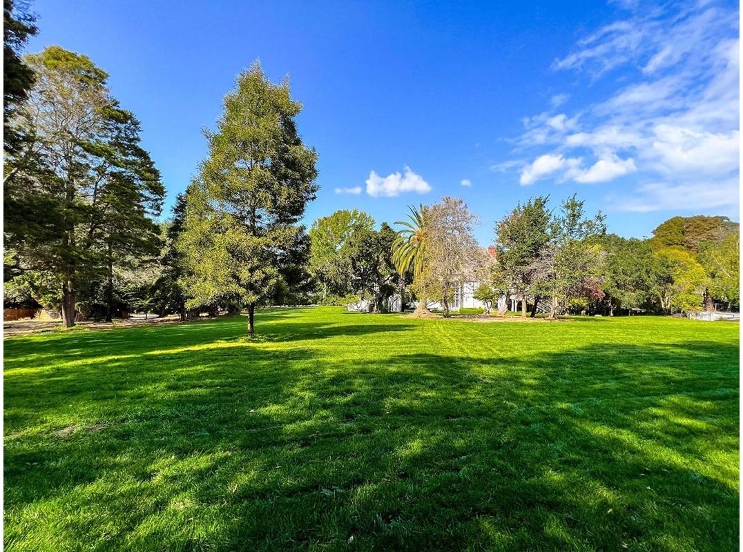 Prime Lower Hillsborough Lot